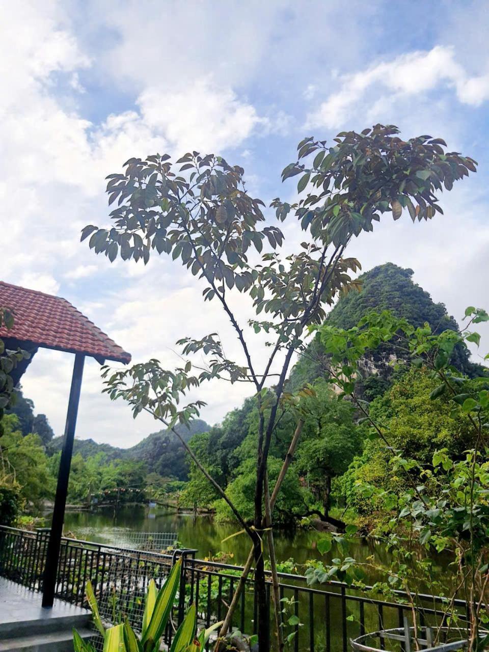 Trang An Hana Homestay Nguyen Ngoai Bagian luar foto