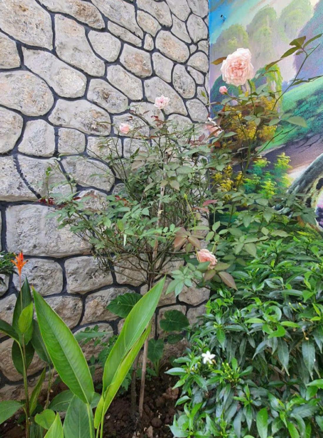 Trang An Hana Homestay Nguyen Ngoai Bagian luar foto