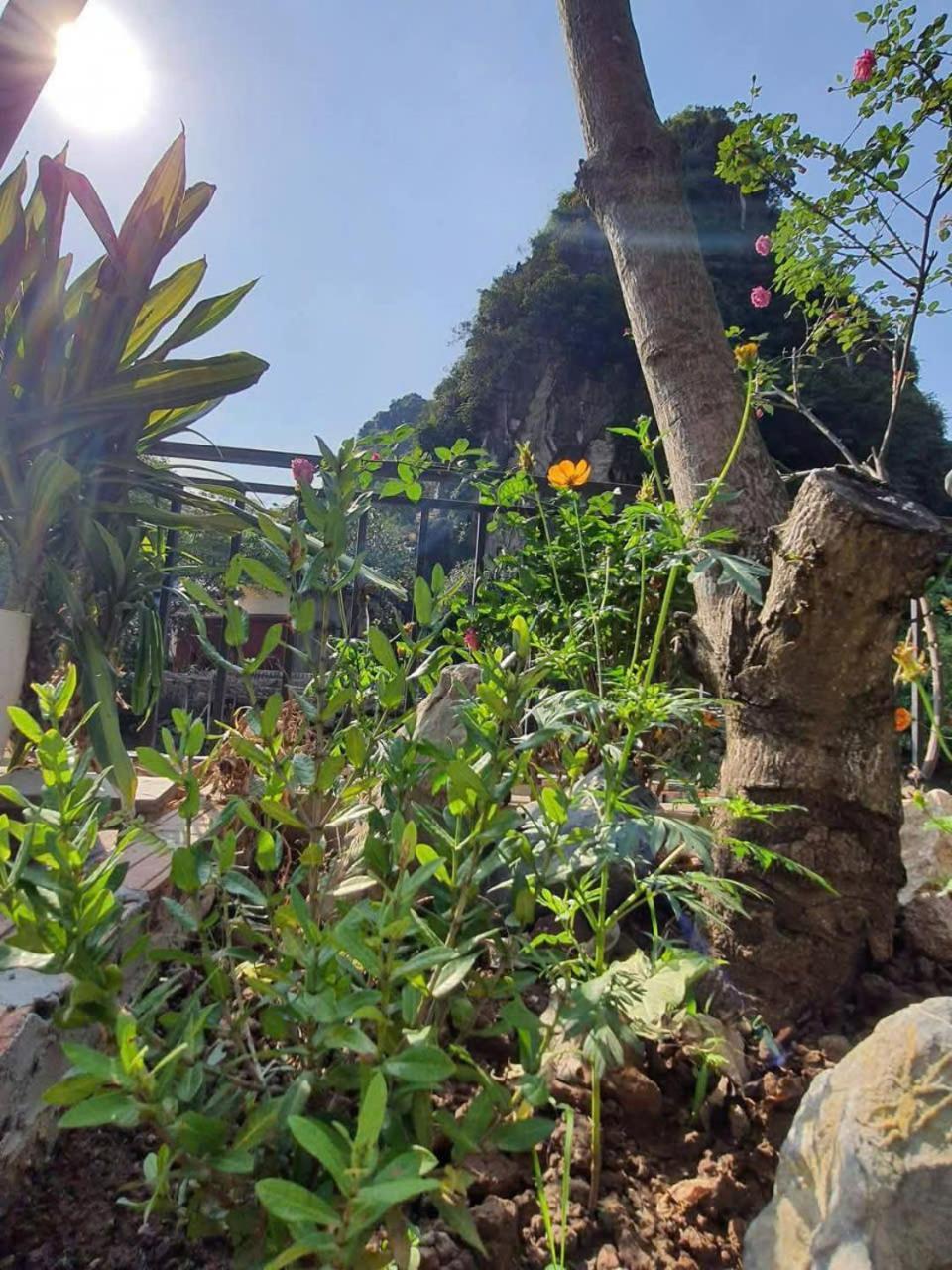 Trang An Hana Homestay Nguyen Ngoai Bagian luar foto